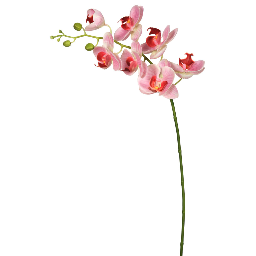 Picture of Vickerman FA172204 Real Touch Orchid-7 Heads Floral Stem&#44; Pink