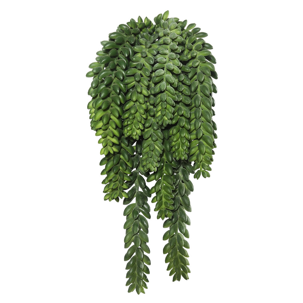 Picture of Vickerman FL171401 Donkeys Tail Bush X14 with 1311 Bean Succulent - 13 in.