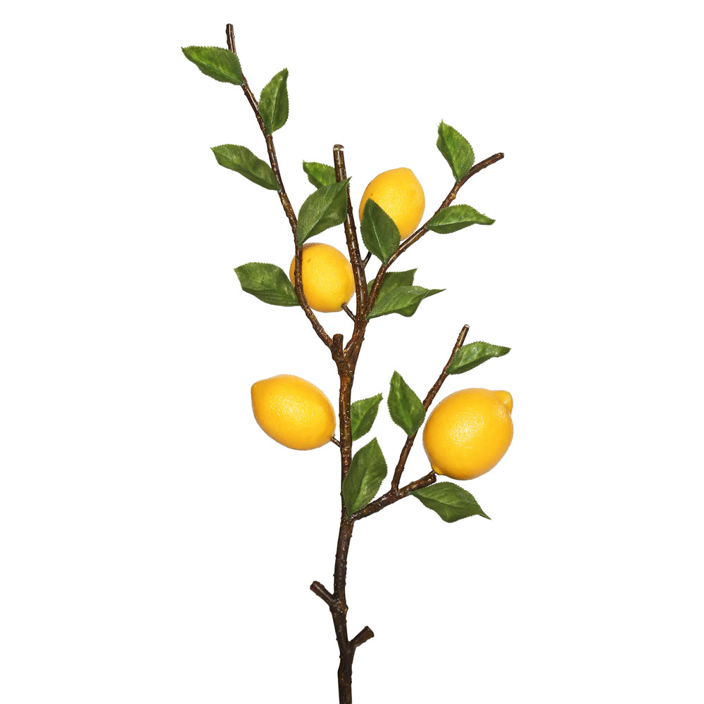 Lemon Spray X4 Fruit - 20 in.