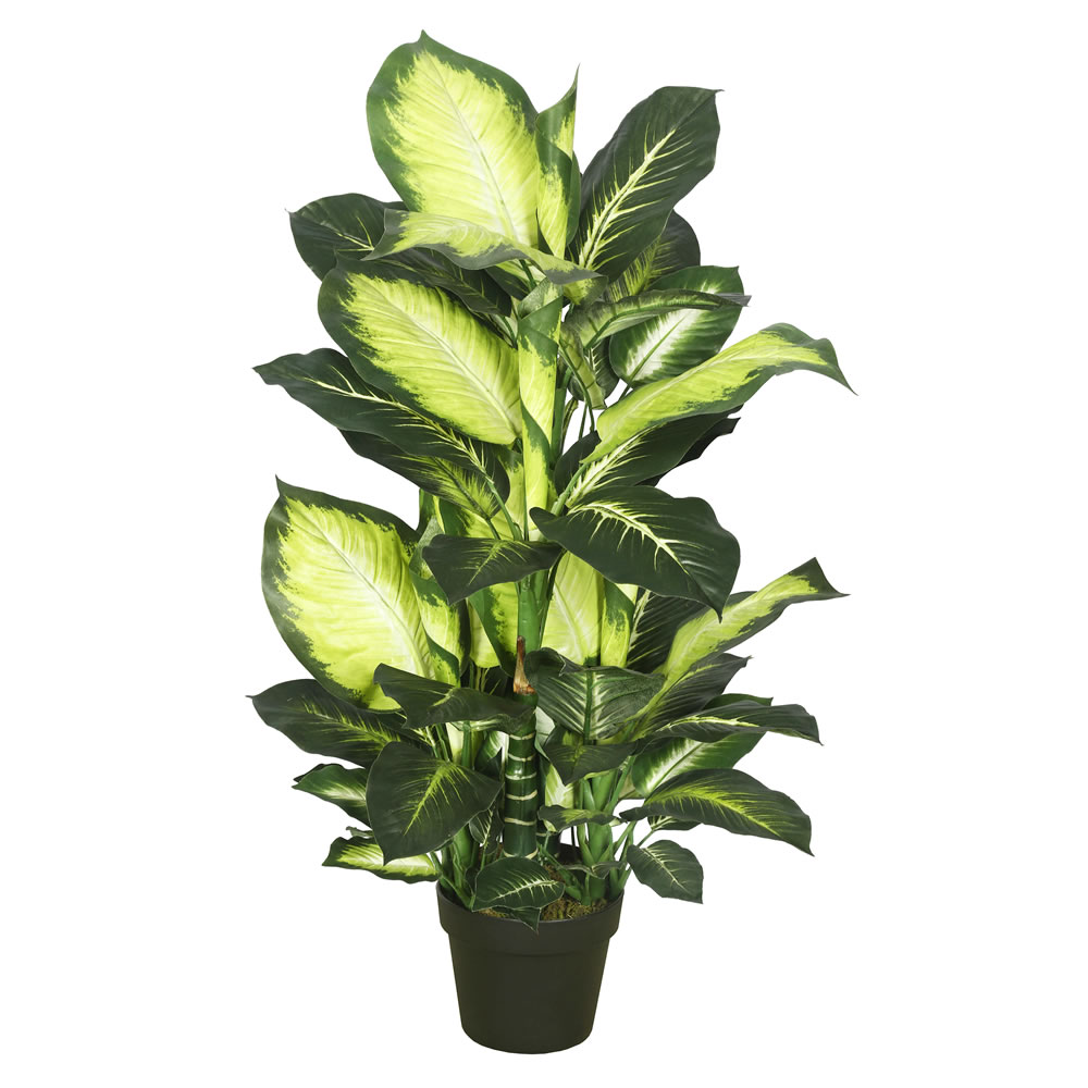 Picture of Vickerman TA170201 Dieffenbachia Everyday Tree with Pot-Green White - 40 in.