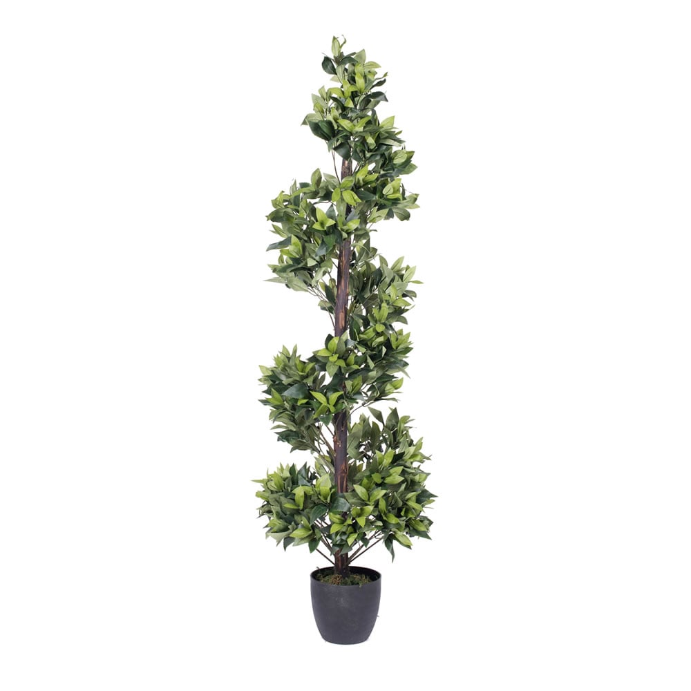 Picture of Vickerman T161060 Spiral Bay Everyday Tree in Pot - 5 ft.