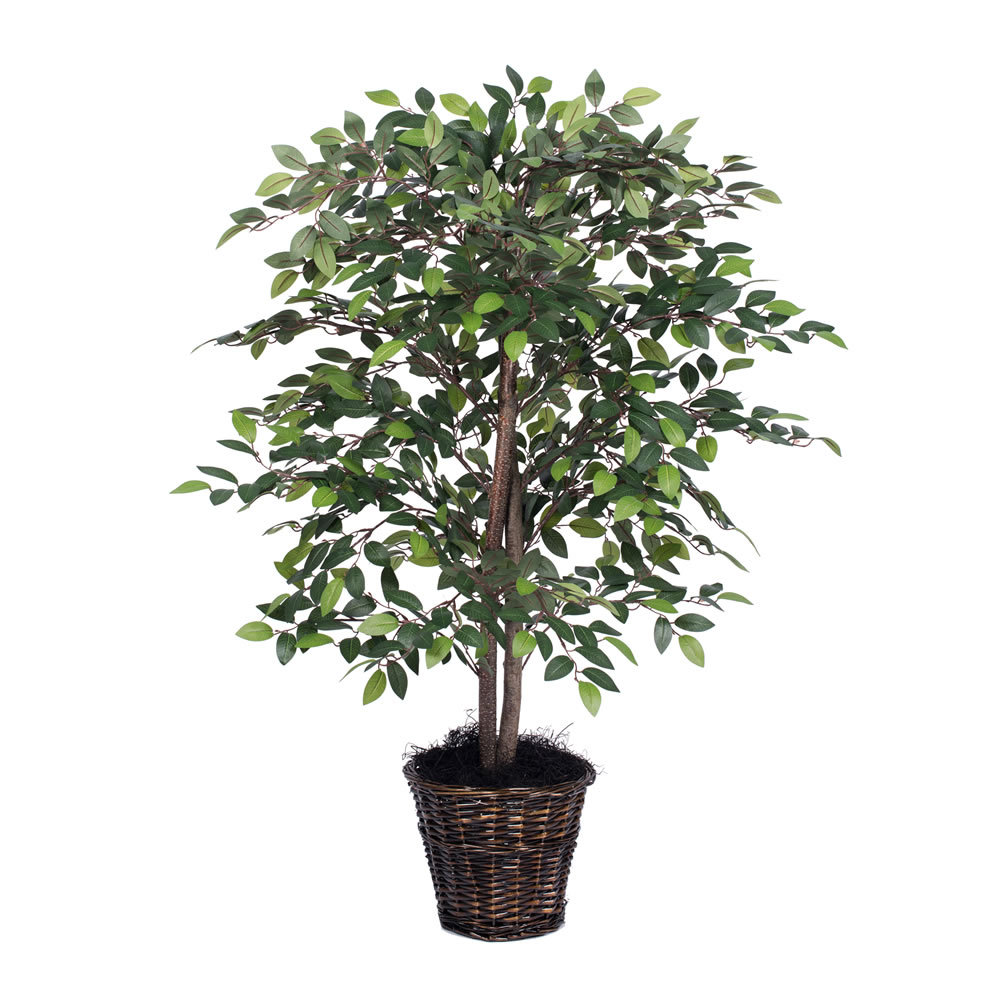 Picture of Vickerman TBU4240 Mini Ficus Everyday Bush - 4 ft.