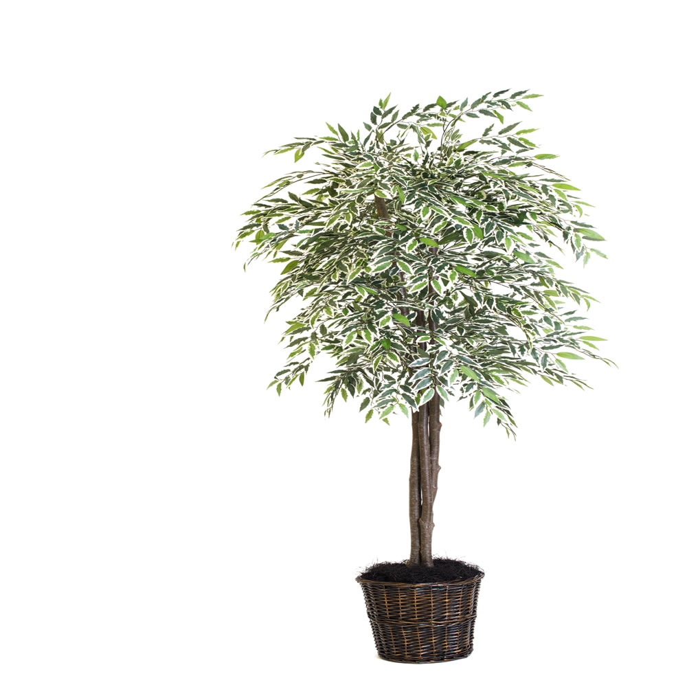Picture of Vickerman TDX1360 Variegated Smilax Deluxe Everyday Tree - 6 ft.