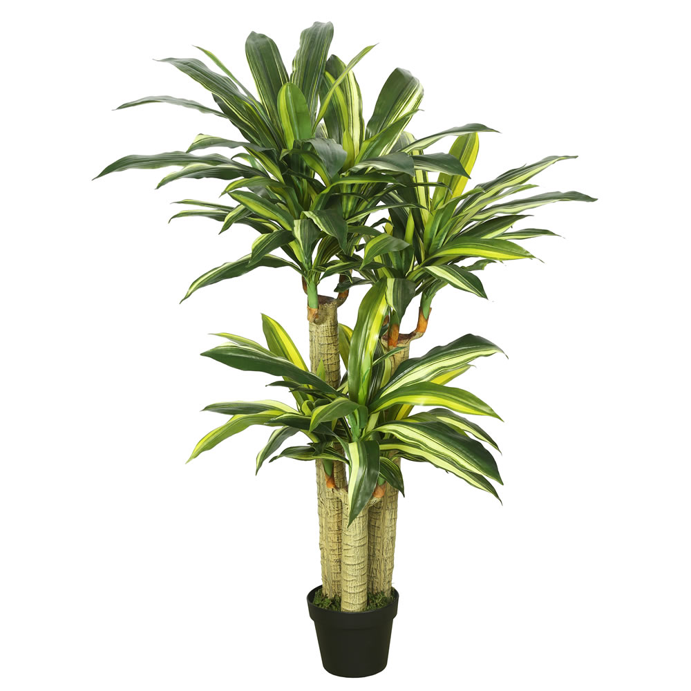 Picture of Vickerman TA170601 Real Touch Dracaena Everyday Tree with Pot-Green & Yellow