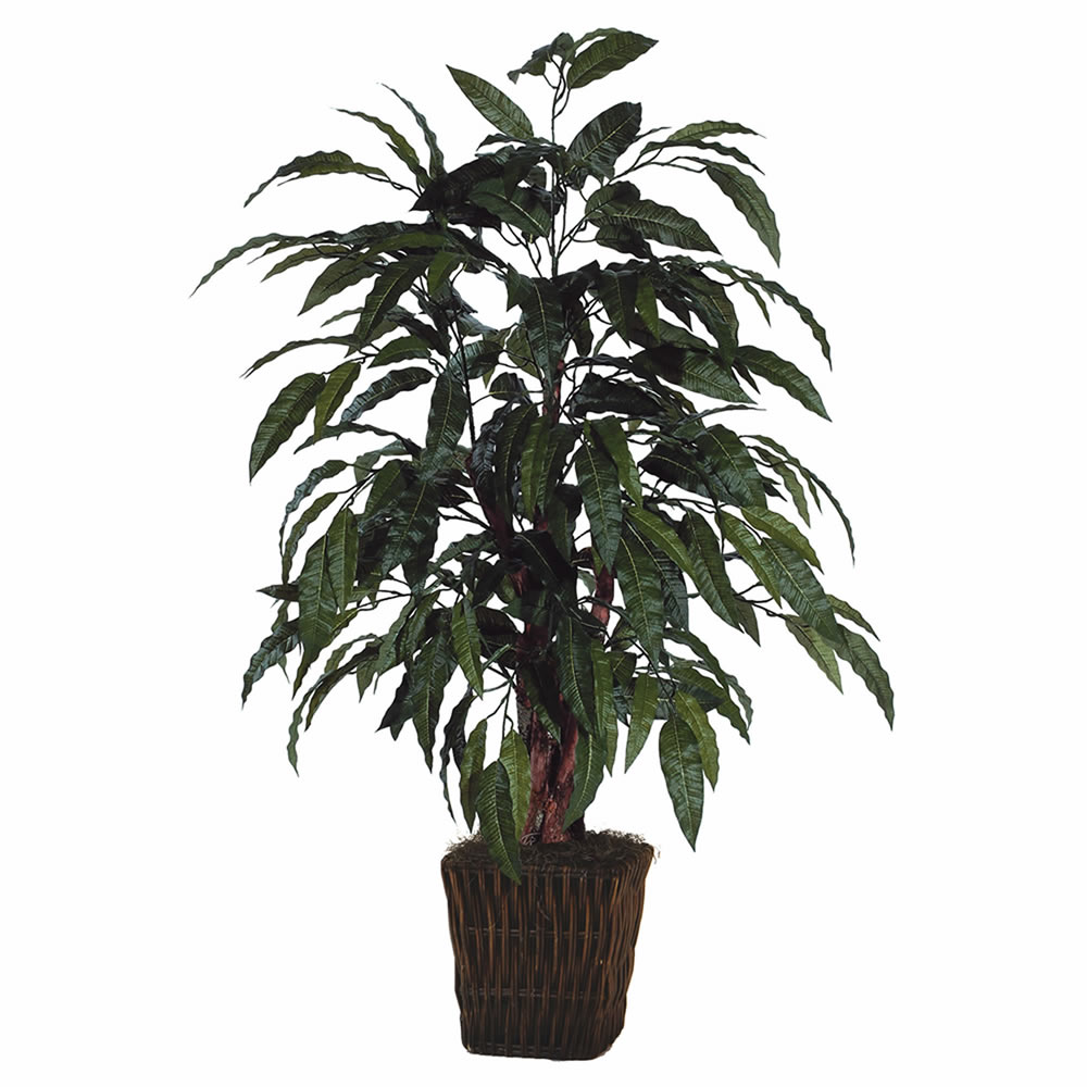 Picture of Vickerman TBU2840-0414 Mango in Square Willow Container Everyday Bush - 4 ft.