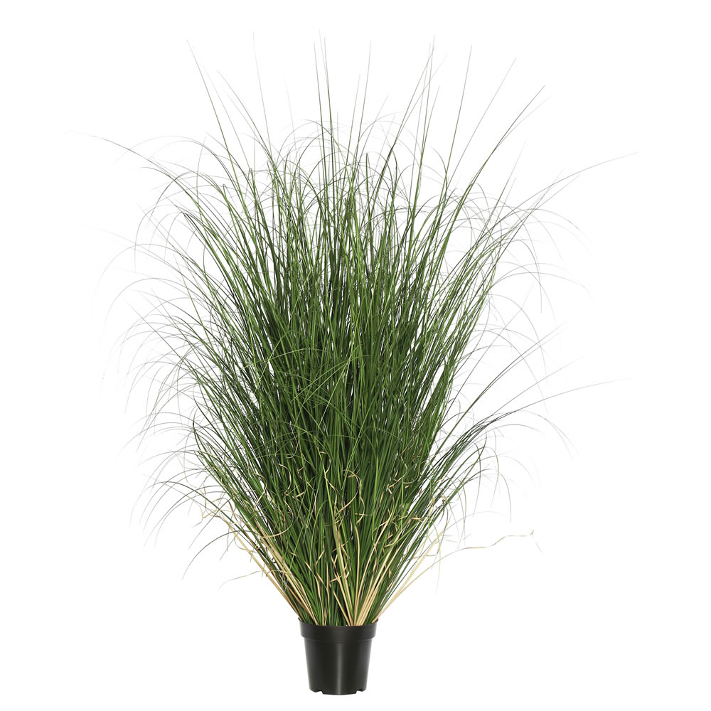 X560 Everyday Grass with Pot - 24 in.