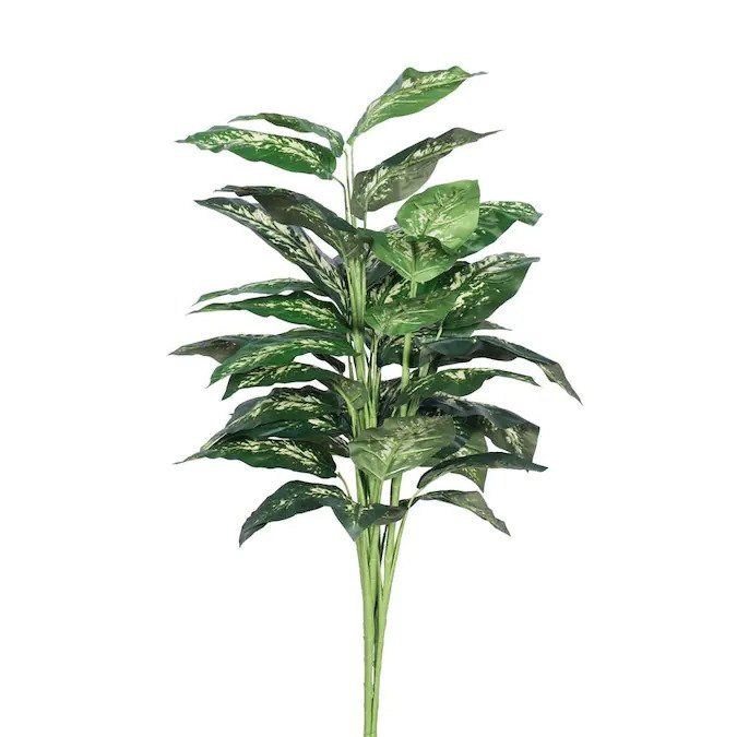 Picture of Vickerman TP170236 Marble Dieffenbachia Plant X5 Everyday Tree - 3 ft.