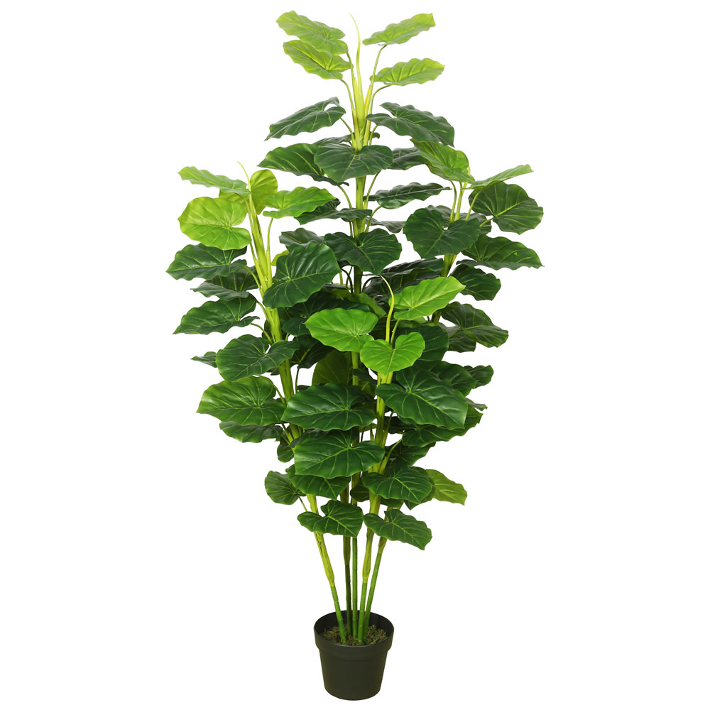 Picture of Vickerman TA170401 Fresh Philodendron Everyday Tree with Pot-Green