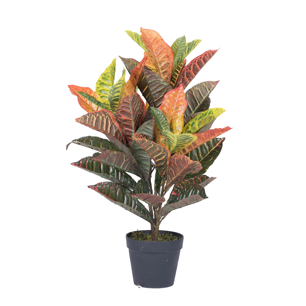 Picture of Vickerman T161130 Real Touch Croton Everyday Tree in Pot - 30 in.