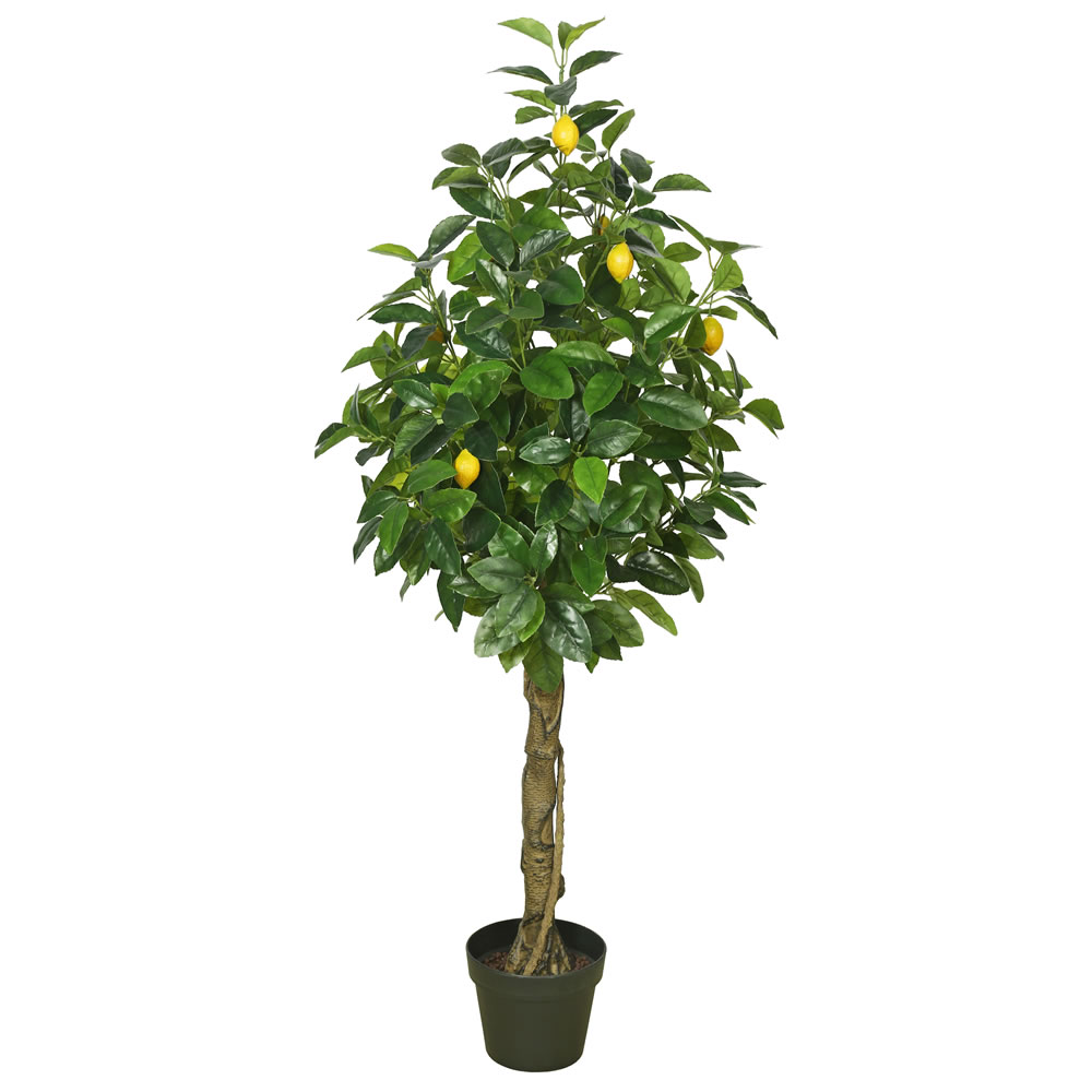 Picture of Vickerman TA171101 Real Touch Lemon Flowering Tree with Pot - 51 in.