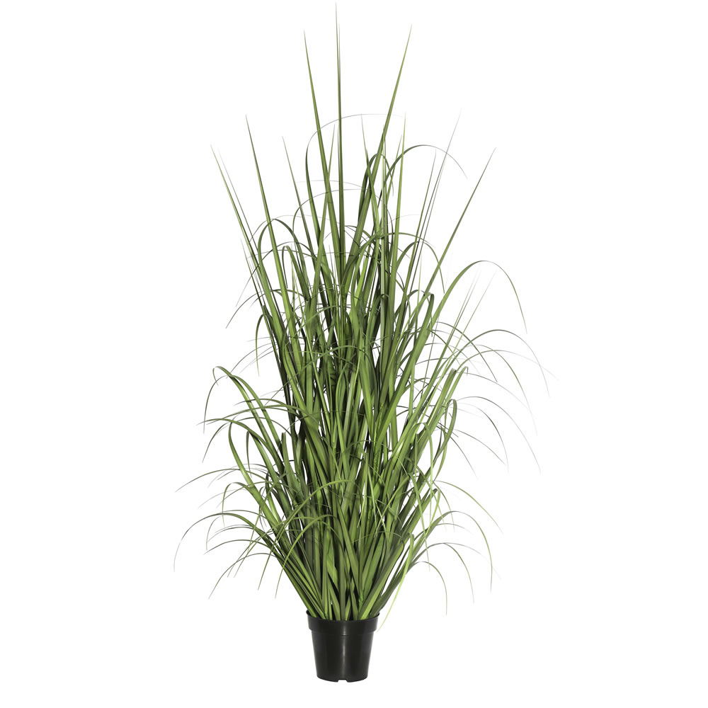 X170 Everyday Grass On Pot - 24 in.