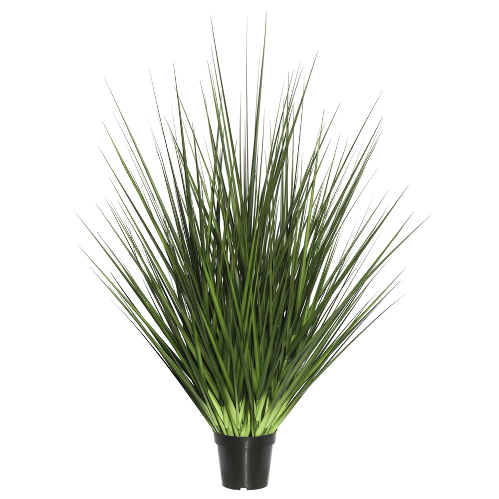 X205 Everyday Grass On Pot - 24 in.