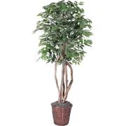Frosted Maple Executive Everyday Tree in Plastic Container - 6 ft.