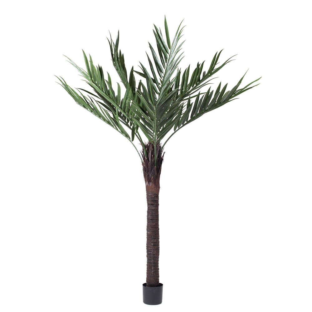 Picture of Vickerman T160572 UV Kentia X9 Palm with 252 Leaves - 72 in.