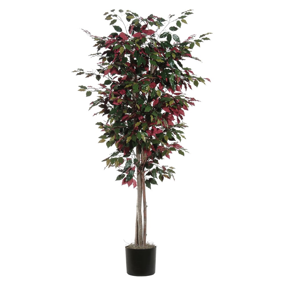 Picture of Vickerman TDX0360-07 Capensia Deluxe Everyday Tree - 6 ft.