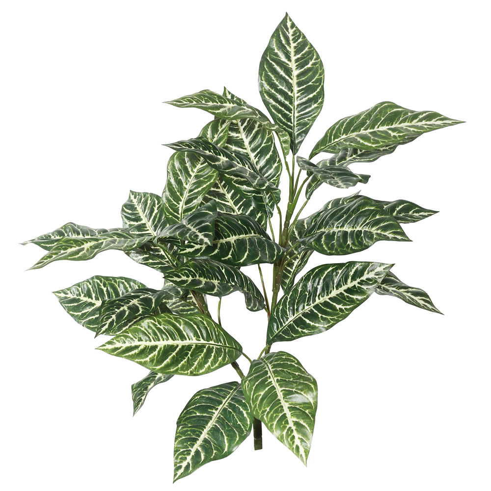 27 in. Zebra Plant X3 with 28 Leaves, Green & White