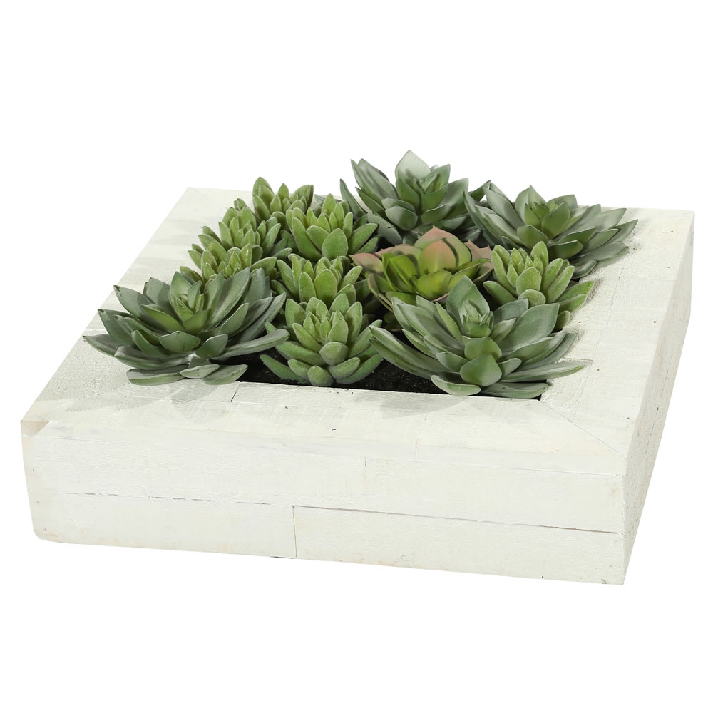 12 in. Wall Succulent Arrangement