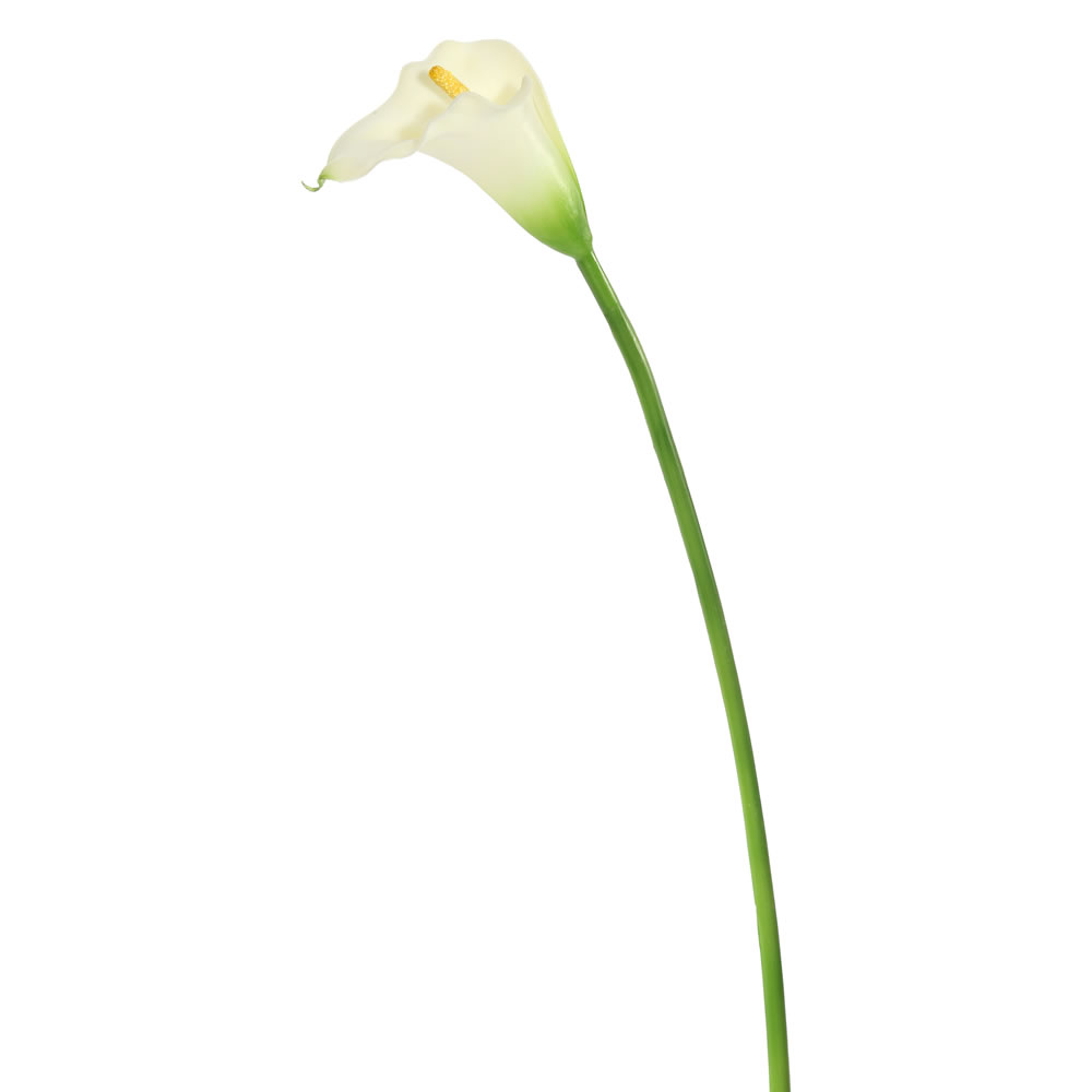 Picture of Vickerman FK171402 28 in. Calla Lily Ivory Large Stem