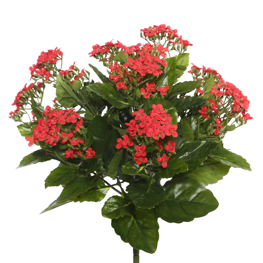 15.5 in. Red Kalanchoe Bush