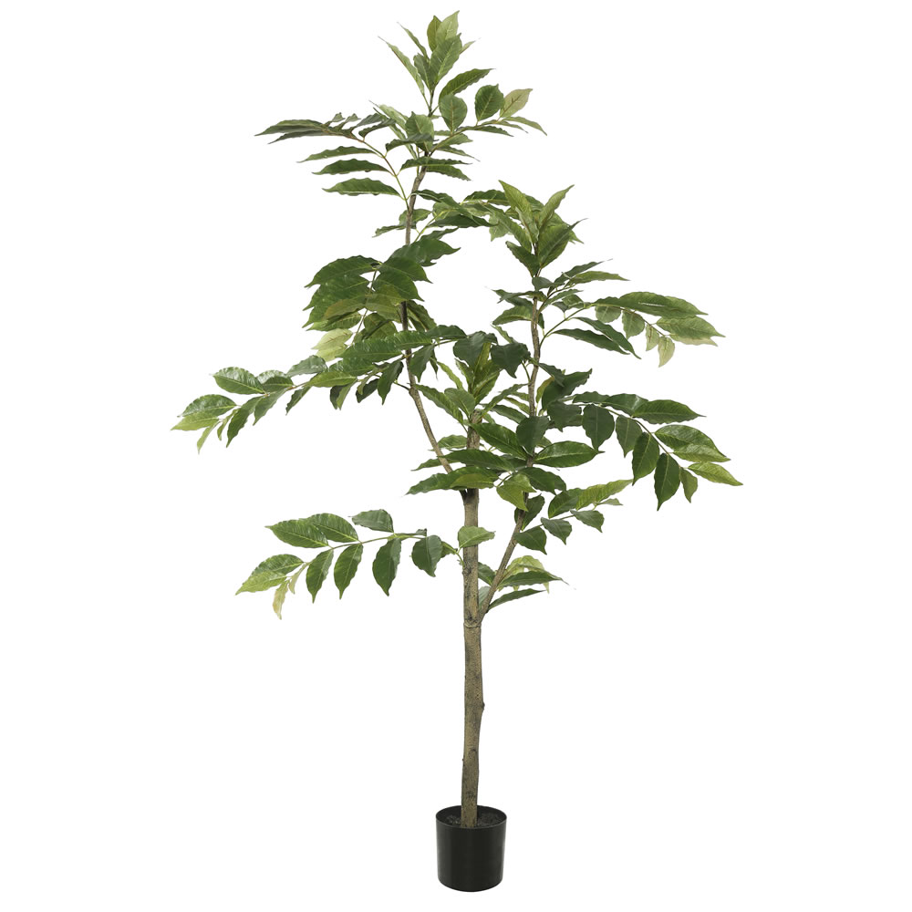 6 in. Potted N & Ina Tree with 284 Leave, Green