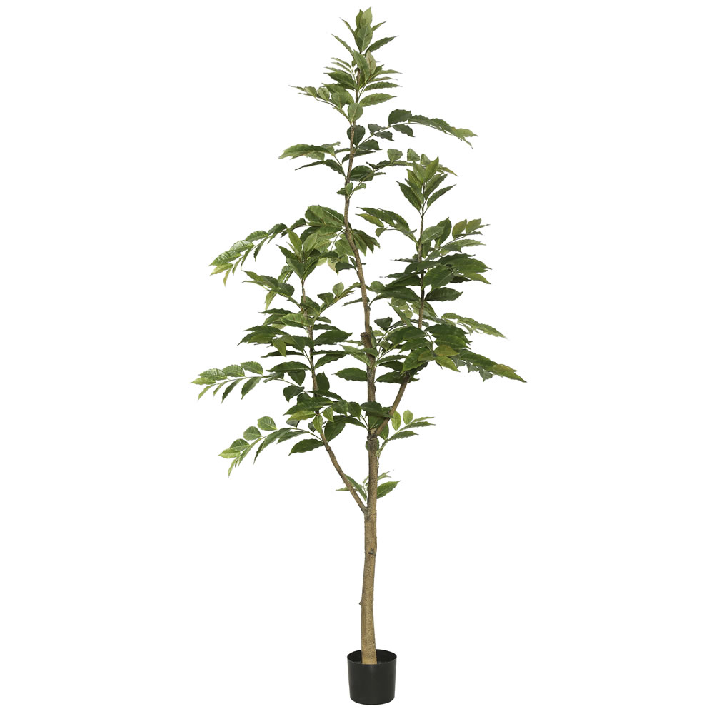Picture of Vickerman TB170884 7in. Potted N & Ina Tree with 356 Leaves&#44; Green