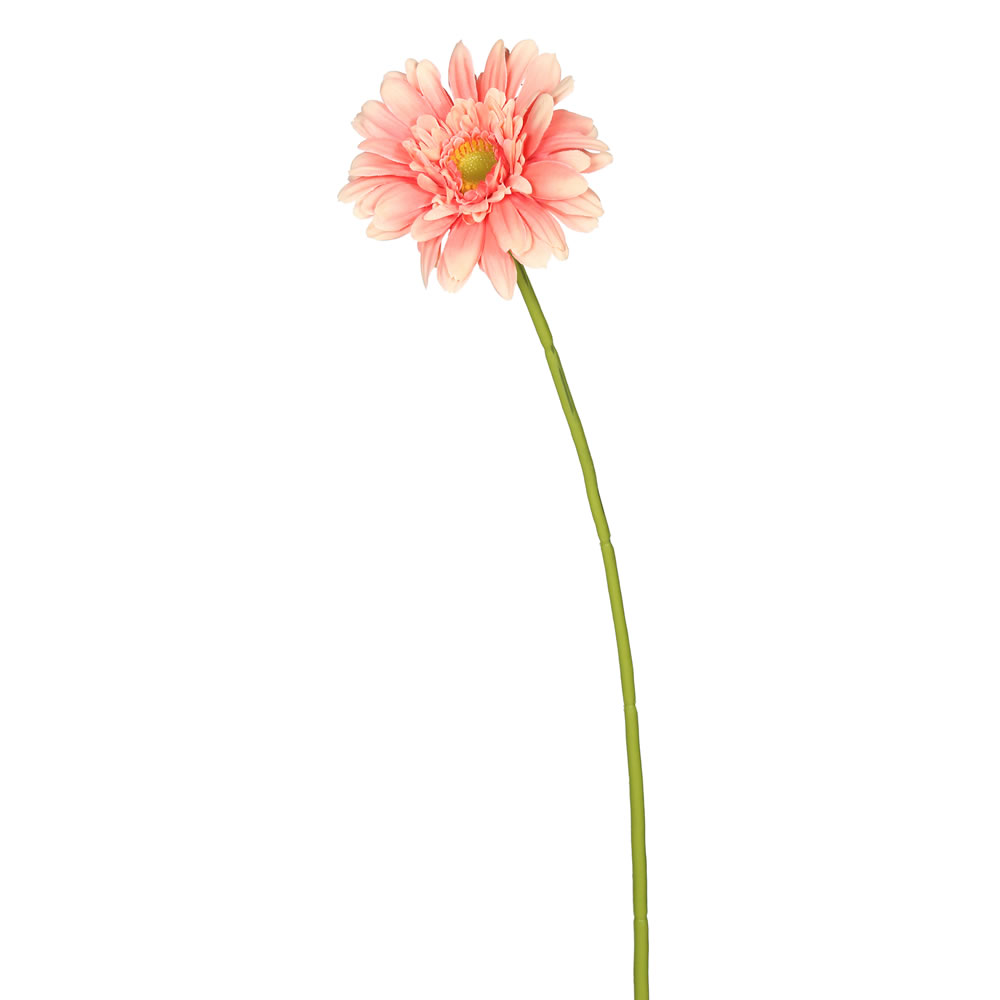 FH170701 21 in. Gerbera Daisy-Lite-Pink
