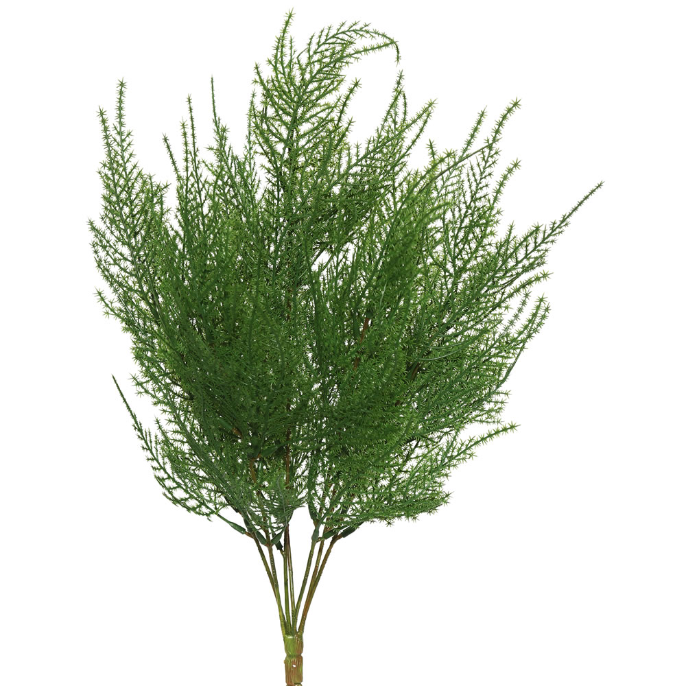 19.5 in. Green Asparagus Bush