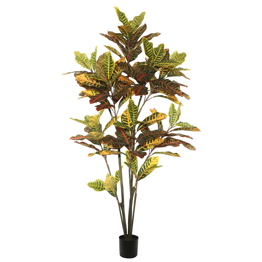 Picture of Vickerman TB170660 5 ft. Potted Cronton Tree with 104 Leaves - Green