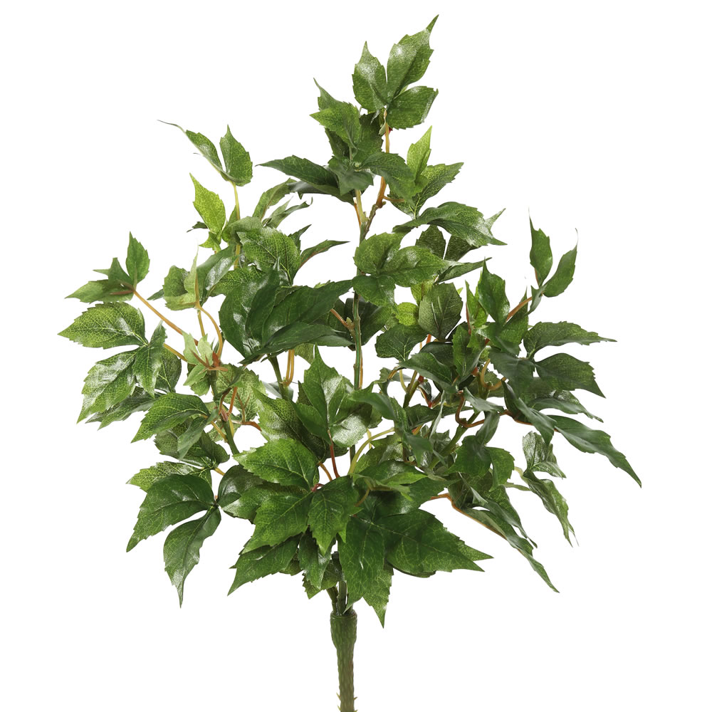 Picture of Vickerman FB171801 20 in. Maple Ivy Bush X6 with 66 Leaves - Green