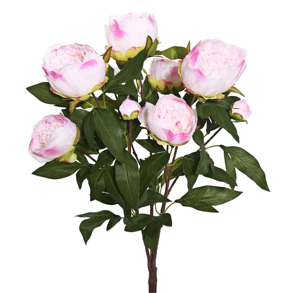 Picture of Vickerman FD170401 23 in. Peony Bush X6 Flowers 3 Buds-Cream&#44; Pink