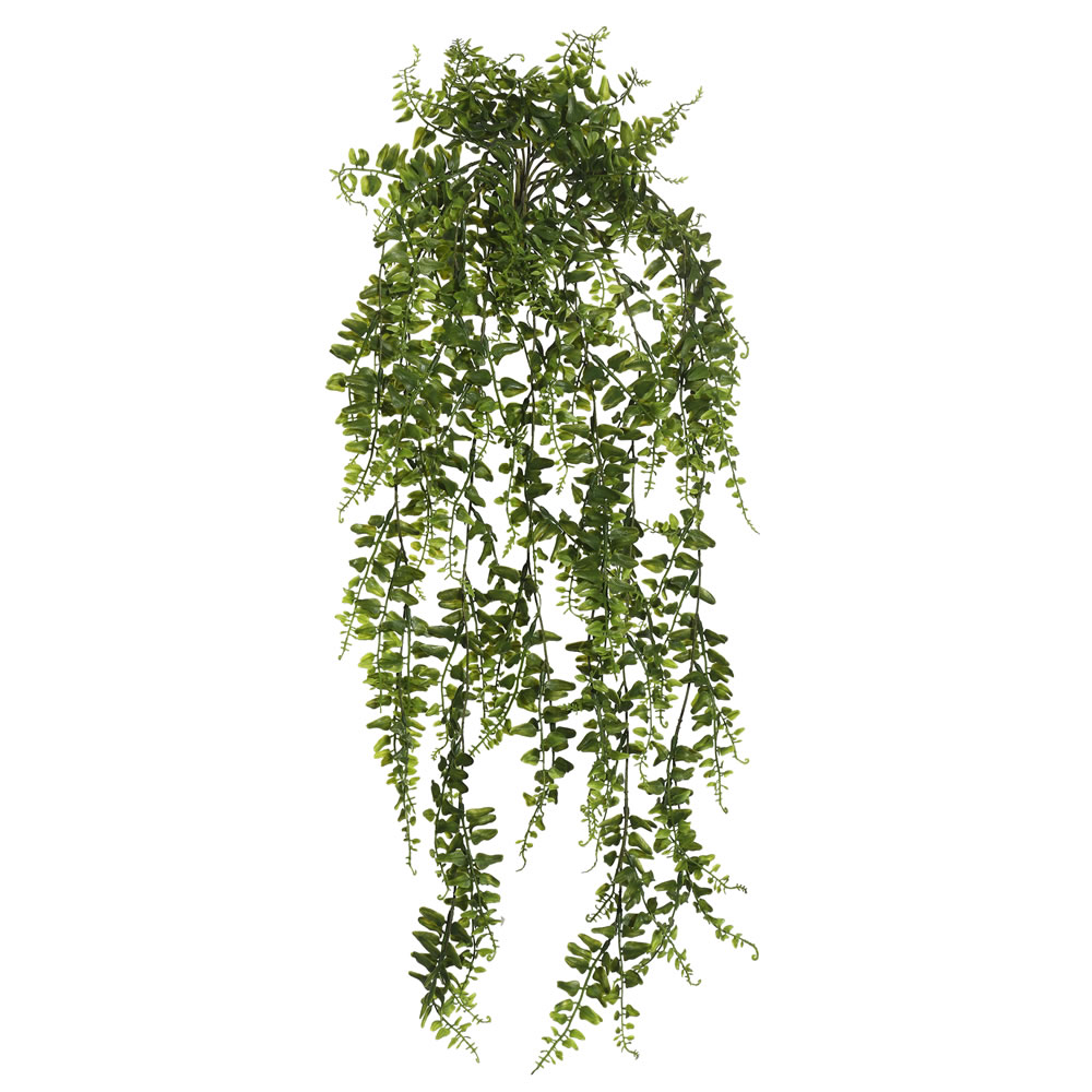30 in. Green Bucler Fern Vine