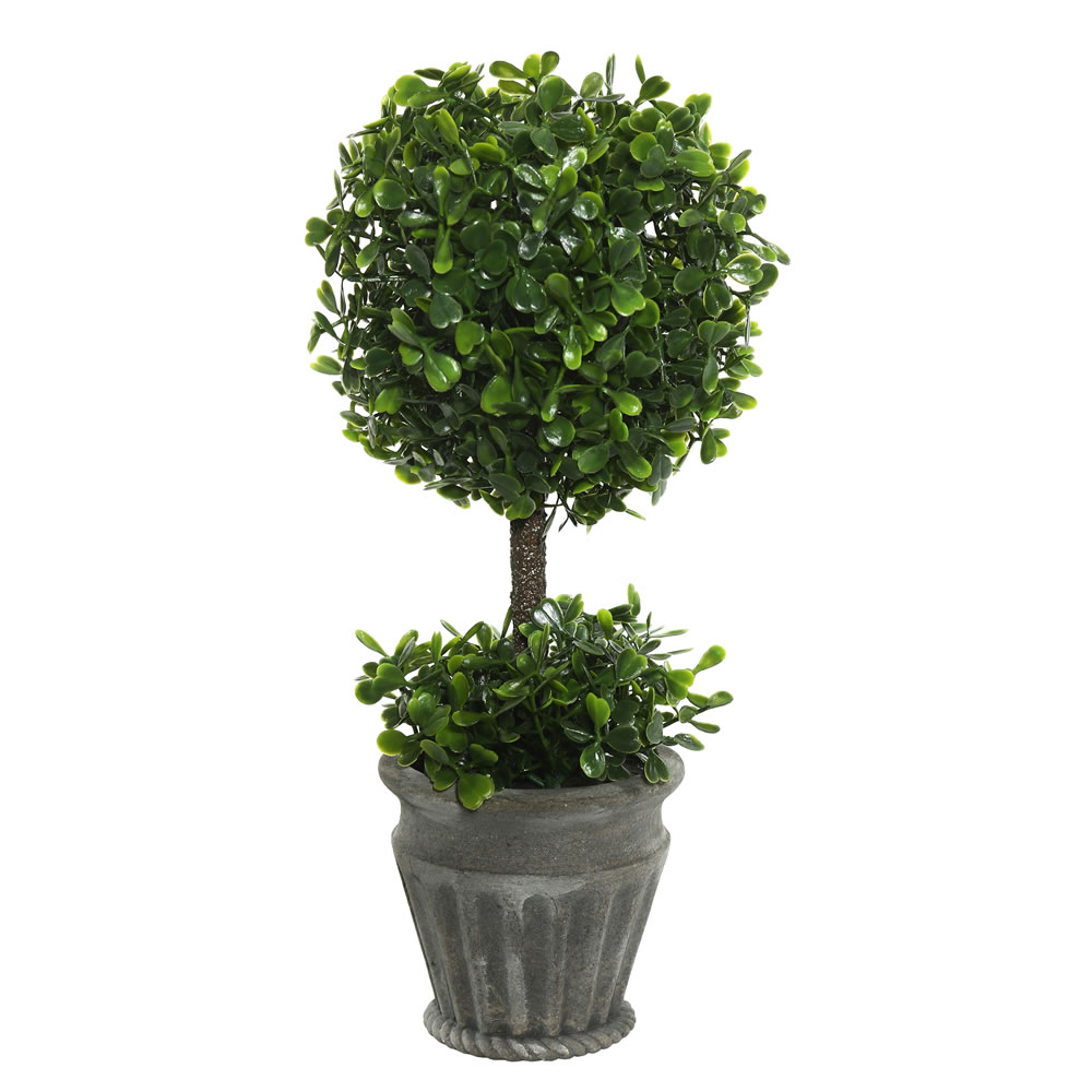 13 in. Boxwood Topiary in Container