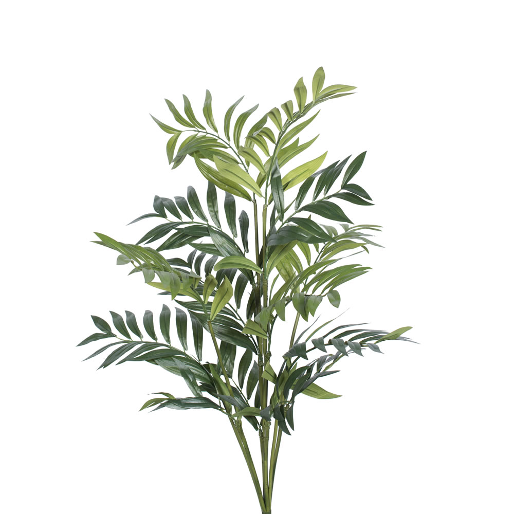 3 ft. Parlour Palm X6 with 186 Leaves - Green