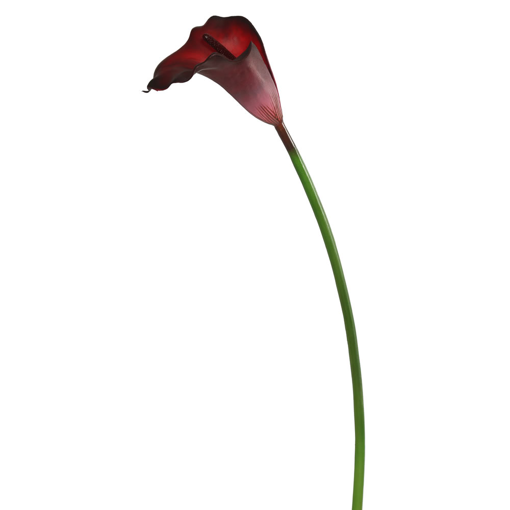 Picture of Vickerman FK171404 28 in. Calla Lily Stem, Large - Pink