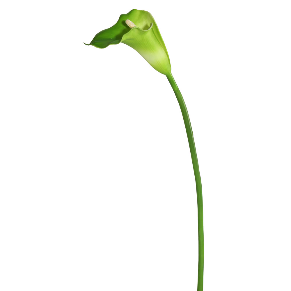 Picture of Vickerman FK171406 28 in. Calla Lily Stem, Large - White & Green