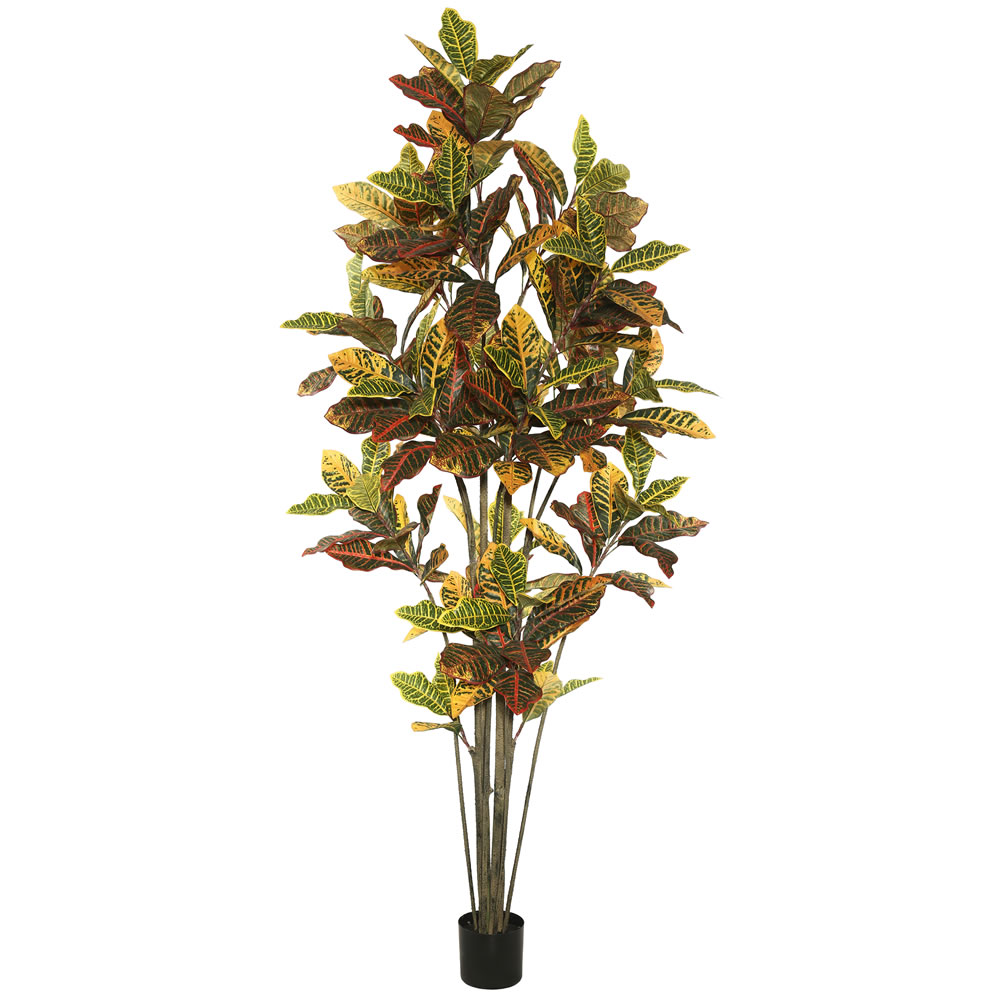 7 ft. Potted Cronton Tree with 192 Leaves - Green & Orange