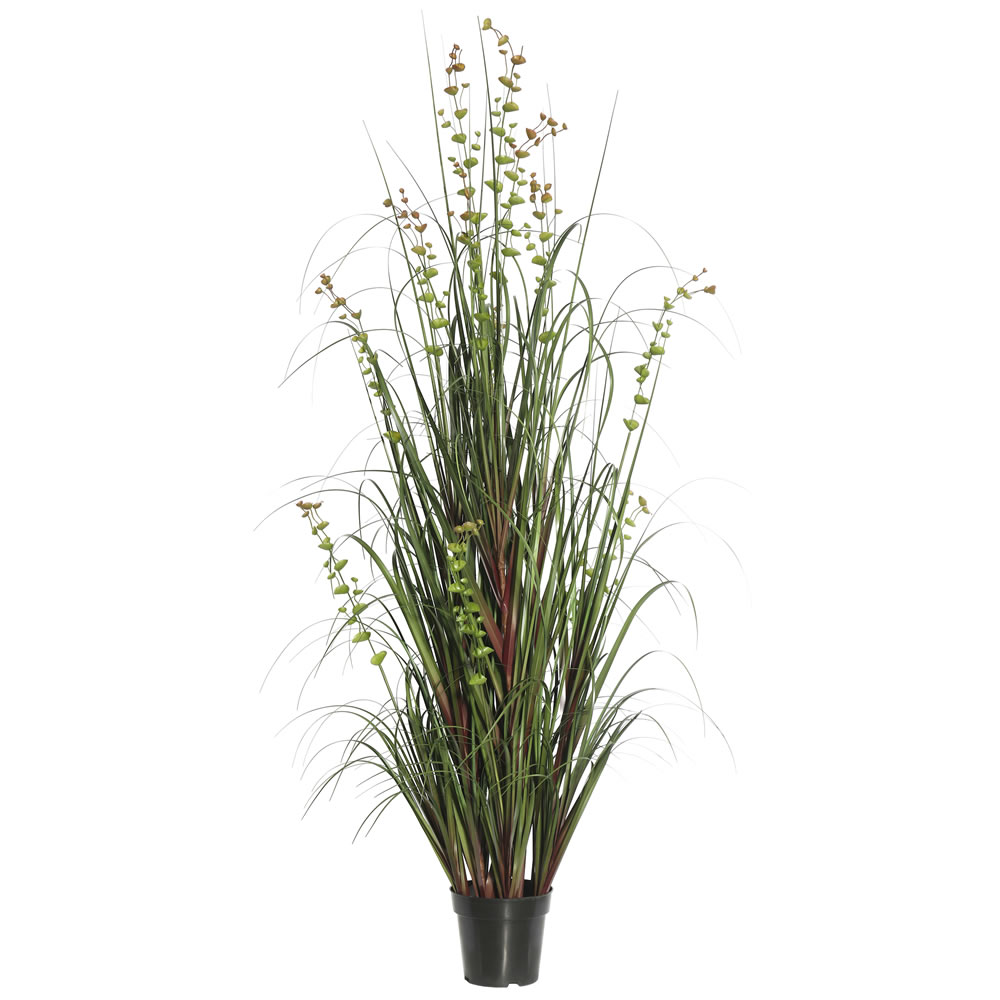 Picture of Vickerman TN170236 36 in. Eucalyptus Grass Potted