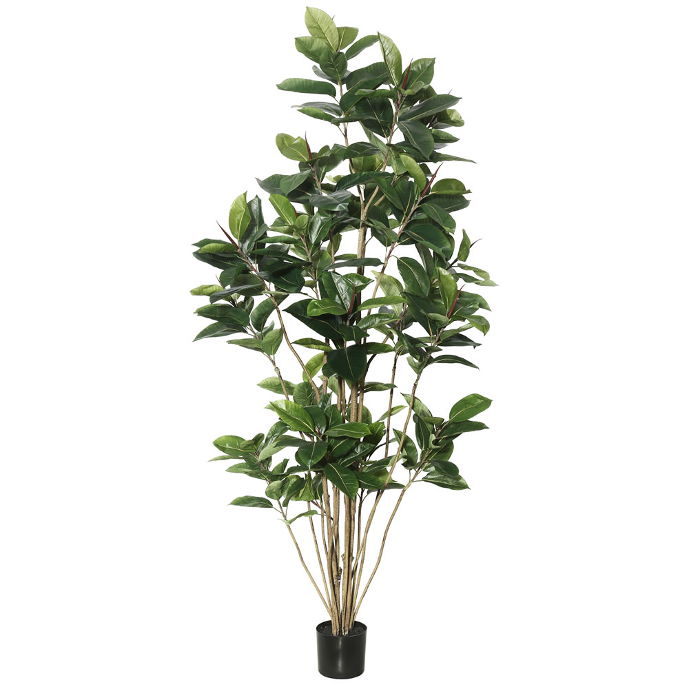 7 ft. Potted Rubber Tree with 148 Leaves - Green