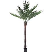 4 in. X6 Parlour Palm with 261 Leaves - Green