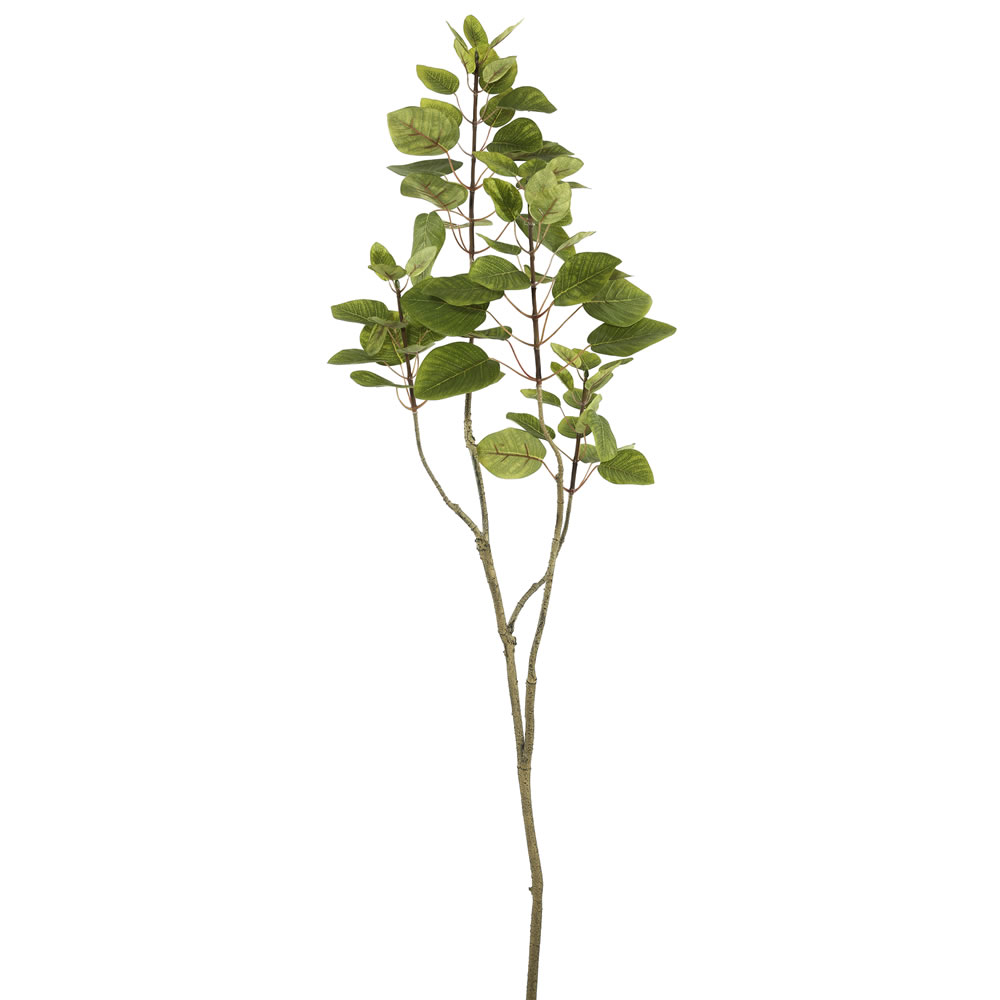 4 in. Cotinus Coggygria Branch, Green