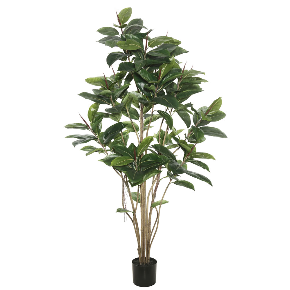 6 in. Potted Rubber Tree with 185 Leaves,Green