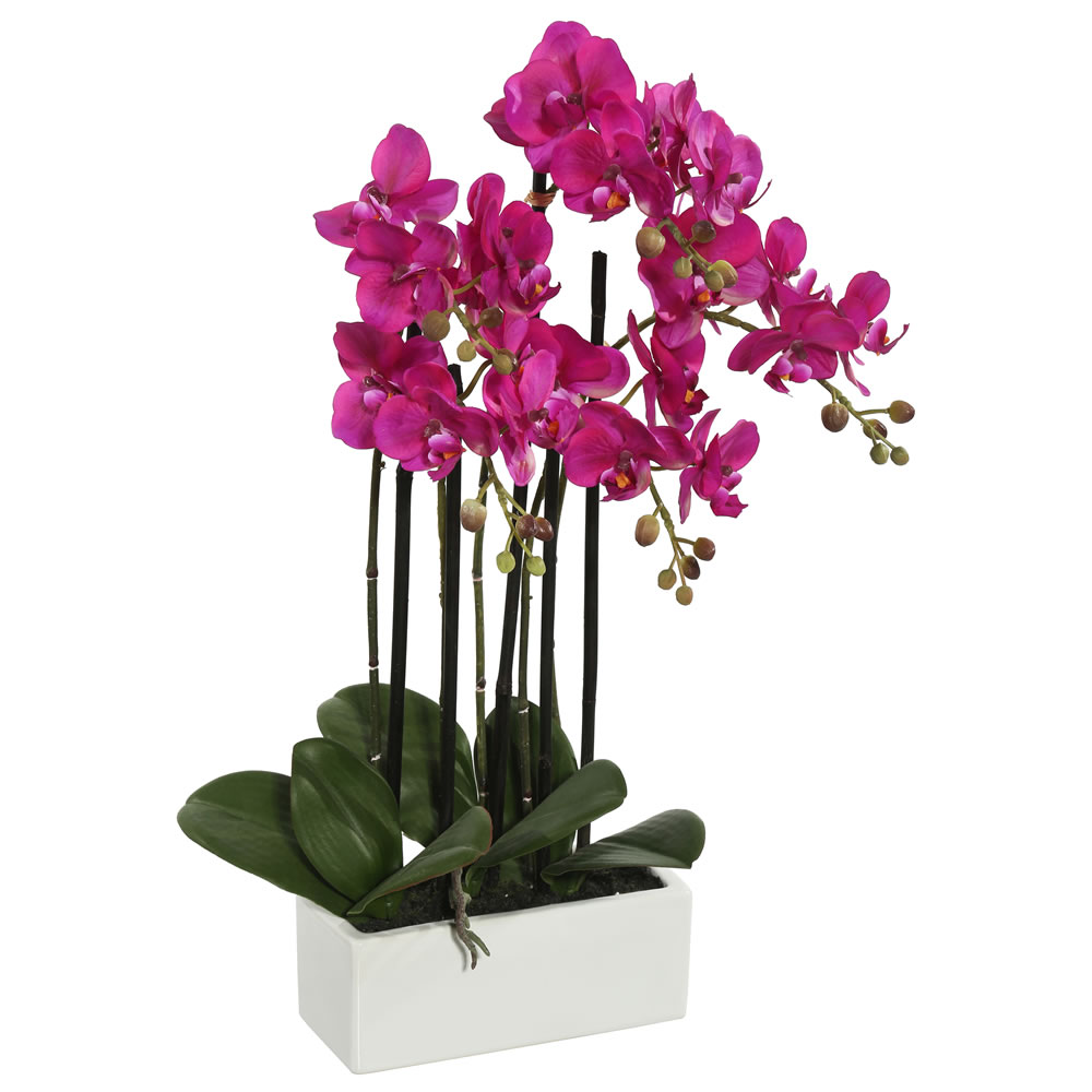 21 in. Potted Orchid, Purple