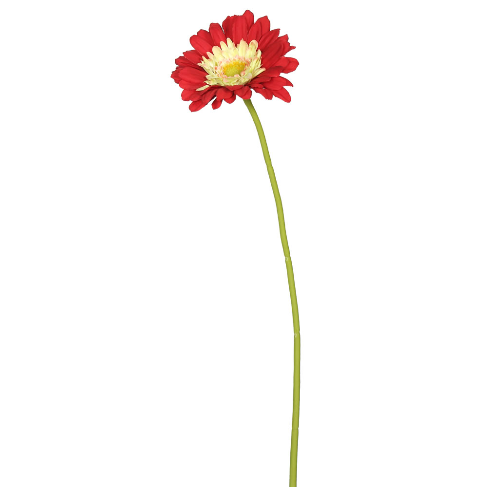 FH170705 21 in. Gerbera Daisy  Red