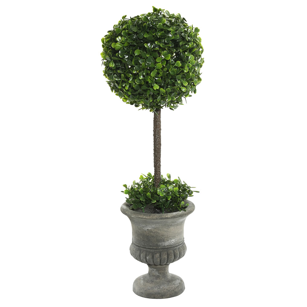 21 in. Boxwood Topiary in Container