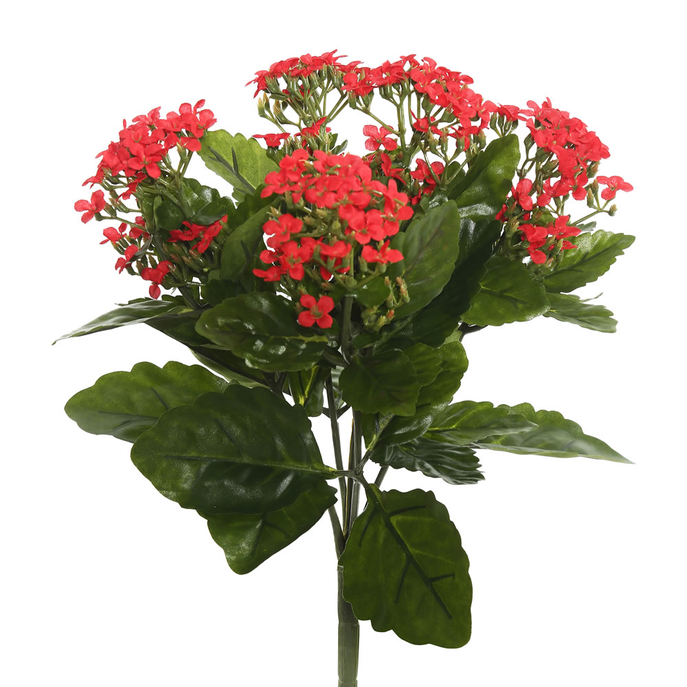 17.25 in. Kalanchoe Bush, Red
