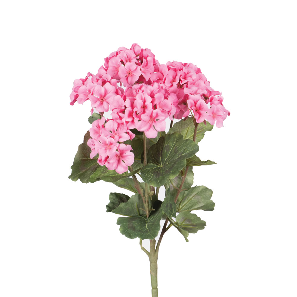 18 in. Geranium Bush-Coral