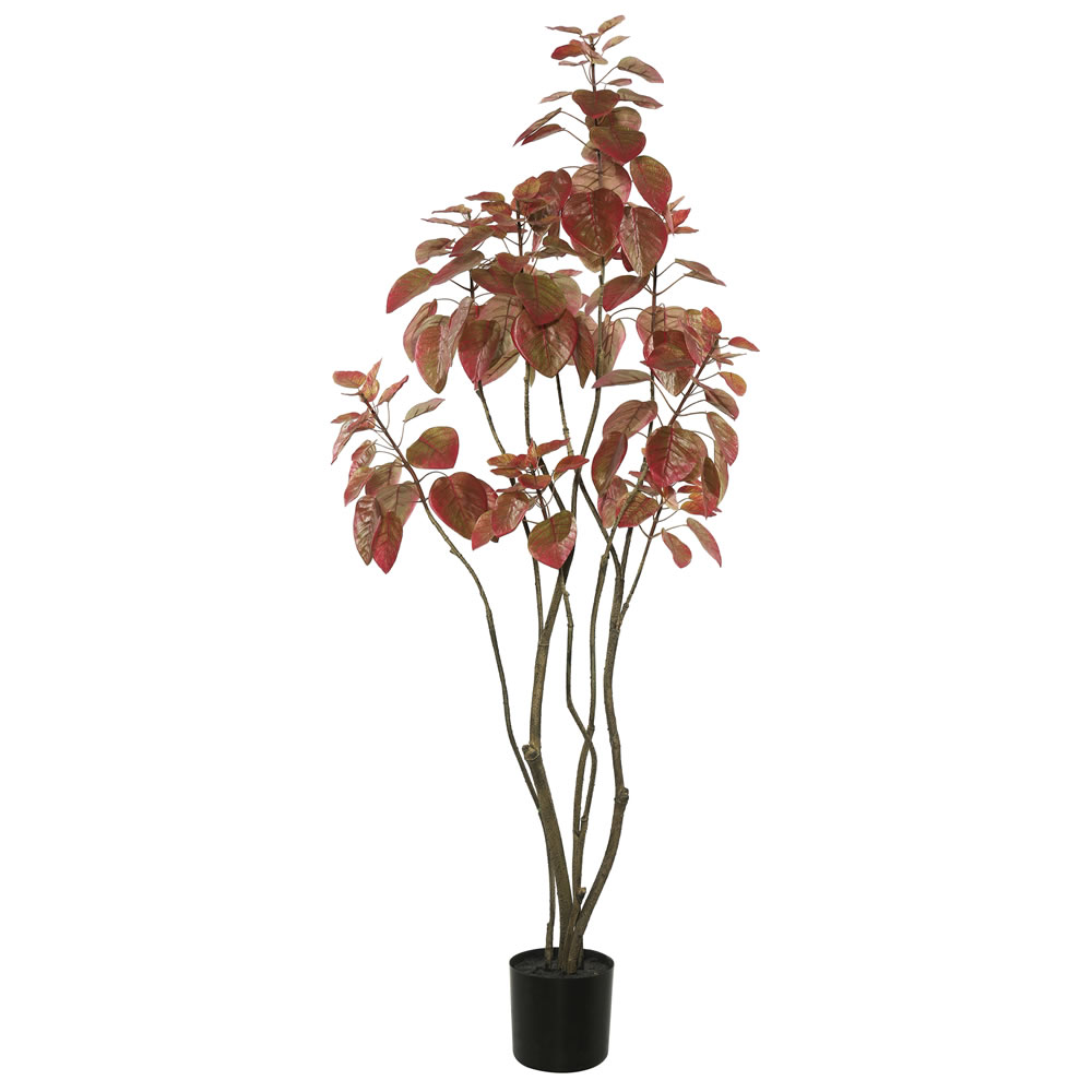 4 ft. Rogot Rurple Tree with Pot, Red