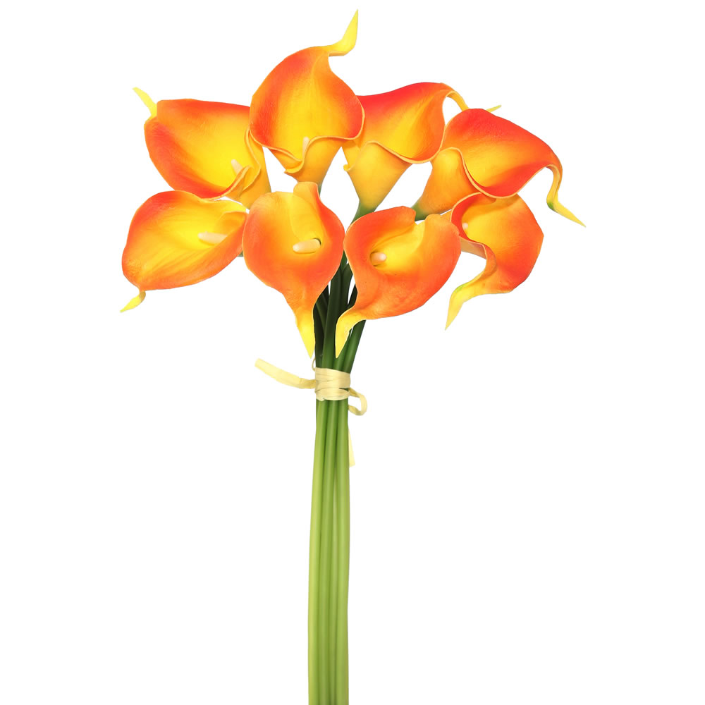 FD170303 14 in. Calla Lily, Orange