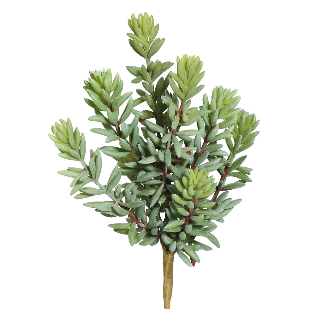 FE171601 8 in. Sedum Pick