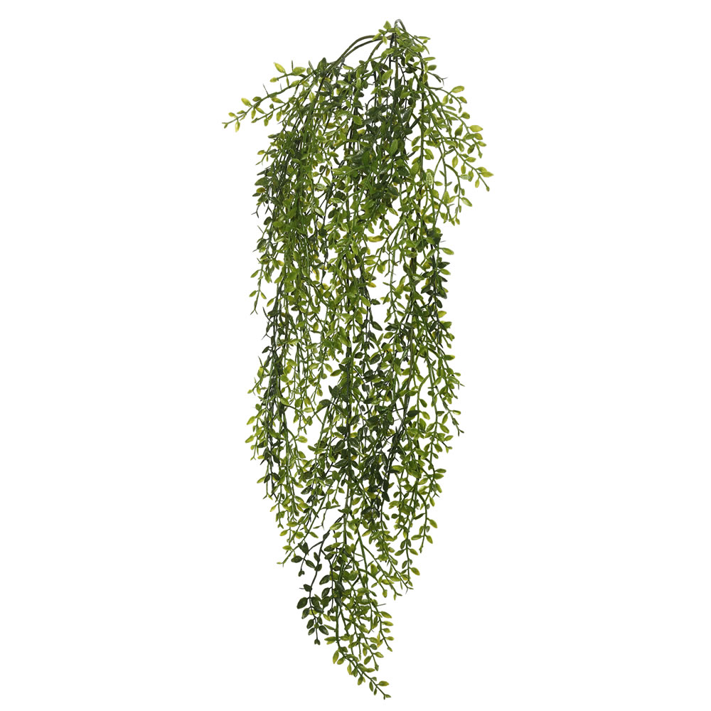 34 in. Lemon Beauty Leaf Vine, Green